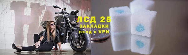 ГАЛЛЮЦИНОГЕННЫЕ ГРИБЫ Аркадак