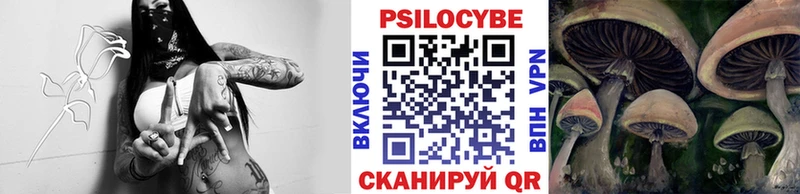 Галлюциногенные грибы Psilocybine cubensis  продажа наркотиков  Талица 